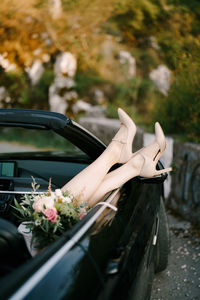 View of white flowering plant in car