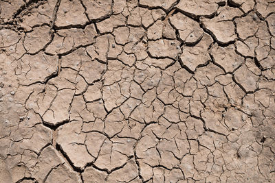 Close-up of cracked land
