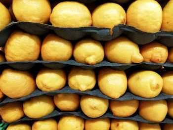 Full frame shot of pumpkins for sale