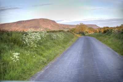 Road amidst green landscape against sky