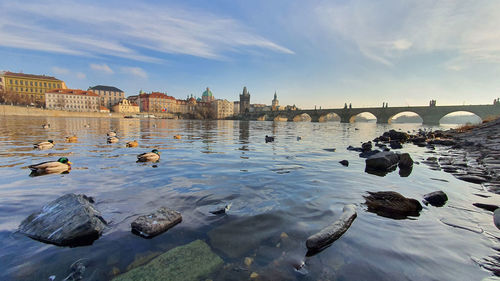 Scenic view of river against sky