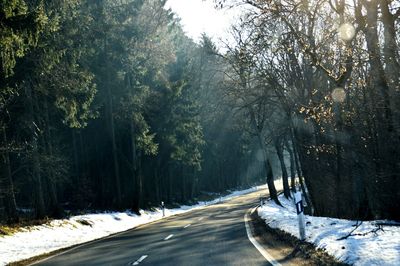 Road amidst trees in forest during winter