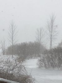 Bare trees on snow covered field against sky