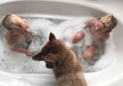 High angle view of children and dog in bathtub
