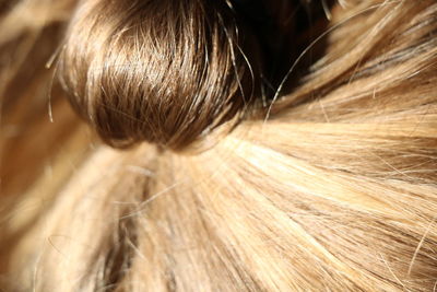 Close-up of woman hair