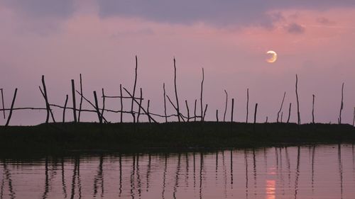 Silhouette plants by lake against sky during sunset