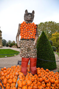 View of pumpkins in market against sky