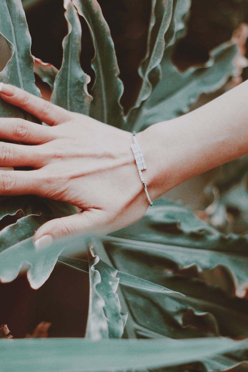 CLOSE-UP OF WOMAN HAND WITH PLANT