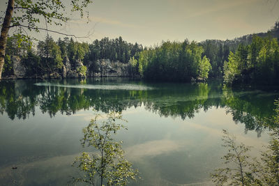 Scenic view of lake by trees against sky