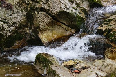 Scenic view of waterfall