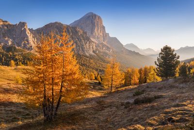 Scenic view of mountains against clear sky during autumn