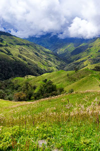 Scenic view of cocora valley against cloudy sky