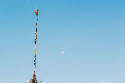 Low angle view of kite against clear blue sky