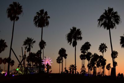 Silhouette palm trees by swimming pool against sky at night