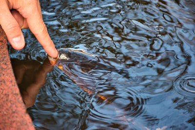 Low section of woman in water