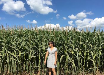 Scenic view of corn field against sky