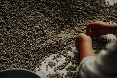 Cropped hands of man buying lentils in shop