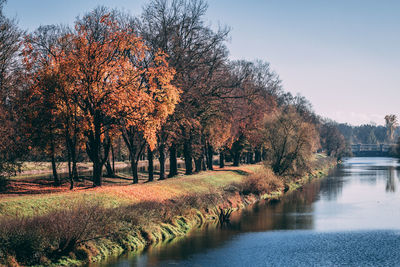 Trees by river against sky during autumn