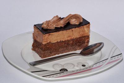 Chocolate cake on plate against white background