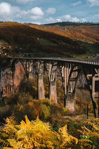 Bridge over river