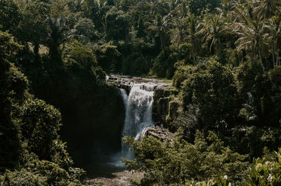 Scenic view of waterfall in forest