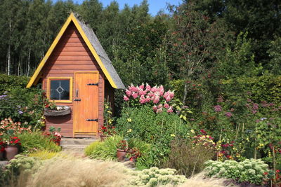 Pink flowering plants and trees by building