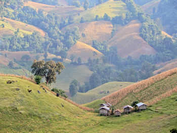 Scenic view of landscape