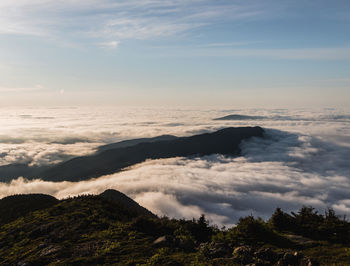 Bigelow mountain rises out of sea of mist and fog at sunrise in maine