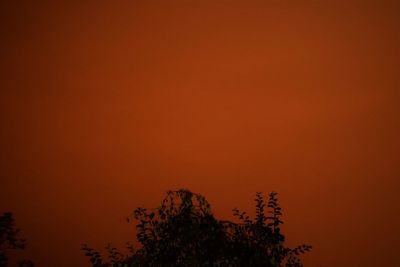 Low angle view of silhouette tree against orange sky