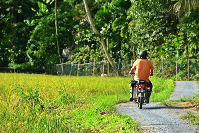 Rear view of man riding bicycle