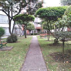 Footpath leading to building