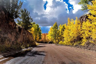 Car on dirt road amidst trees against sky