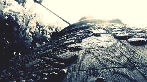 Close-up of wood against sky