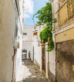 Footpath amidst buildings against sky