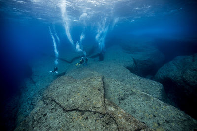 People scuba diving in sea