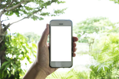 Close-up of hand holding smart phone