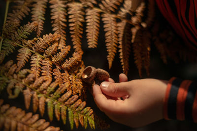 Close-up of hand holding plant