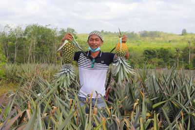 Man standing in field and hand hold  pineapple fruit 