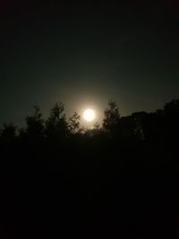 Low angle view of silhouette trees against sky at night