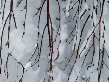 Full frame shot of snow covered field