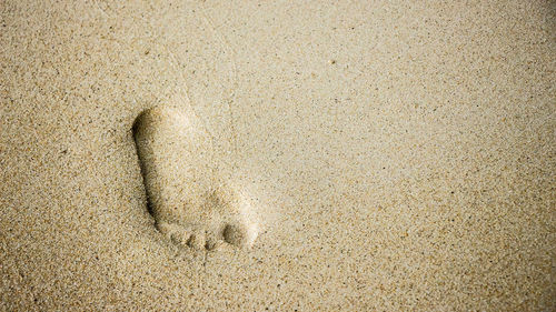 High angle view of footprints on sand