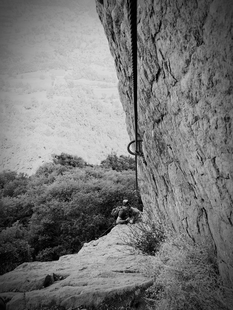 SCENIC VIEW OF ROCK FORMATION BY TREE