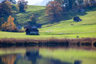 Scenic view of landscape