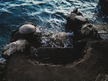 High angle view of sea waves splashing on rocks