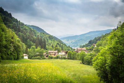 Scenic view of field and mountains against sky