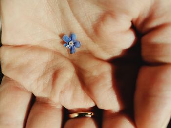 Close-up of hand holding flower