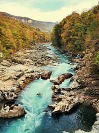 River flowing through rocks in forest against sky