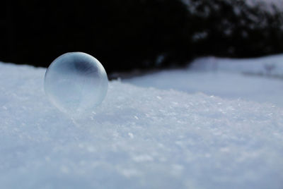 Close-up of frozen ball on snowy field