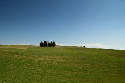 Scenic view of field against clear sky