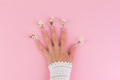 Close-up of hand holding pink flower over white background